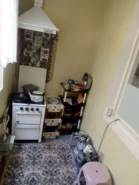 4 ta aqlli va ozoda qizga kvartira bor. Faqat talabalarga