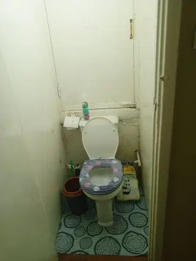 4 ta aqlli va ozoda qizga kvartira bor. Faqat talabalarga
