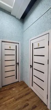 Gastinsa bez zaks