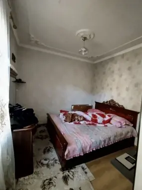 Xovli sotiladi uchtepa tumani paxtakor maxallada